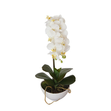 46cm Artificial Butterfly Orchid - White